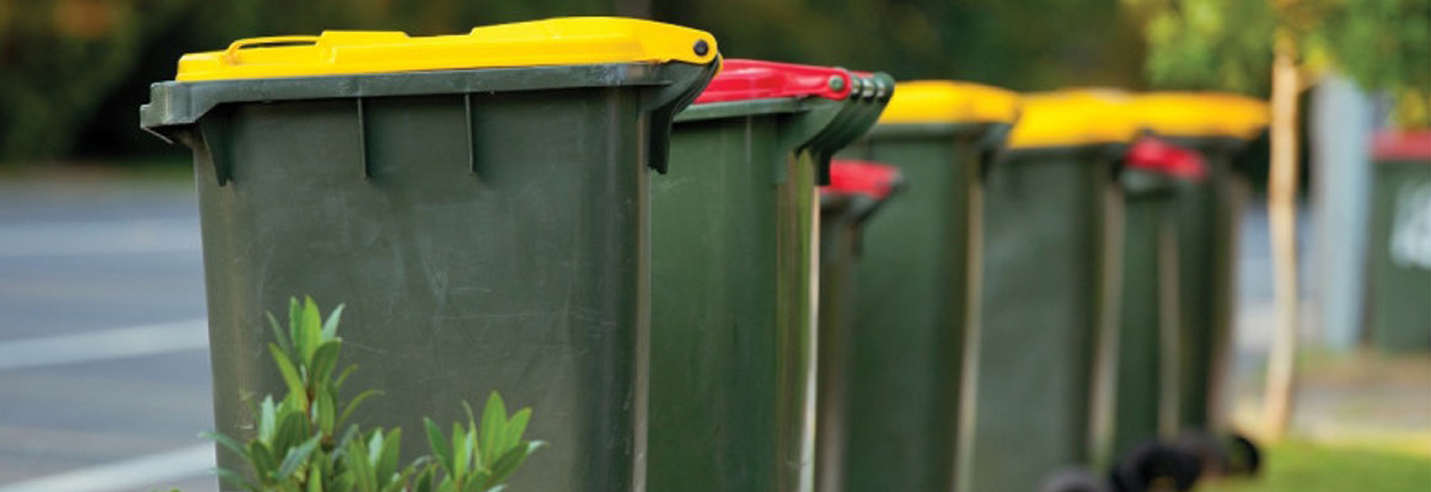 Standardized Waste Collection Launched in NZ